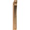 Ekena Millwork Thorton Craftsman Smooth Outlooker, Western Red Cedar, 5 1/2"W x 34"D x 40"H OUT06X34X40THR04SWR - alternate 3